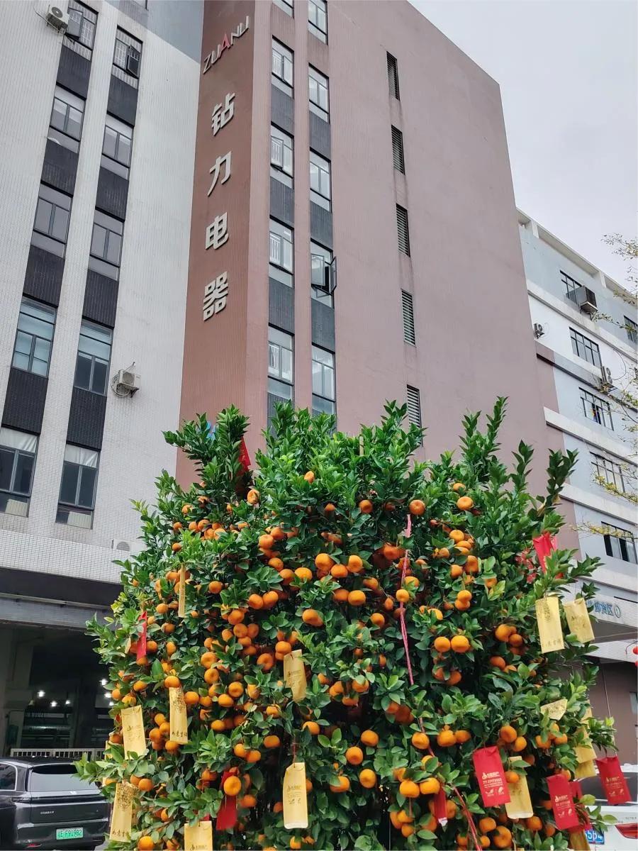 First Shipment after Chinese new Year: High-Torque Reverse Osmosis Pumps Head to Overseas Market-zuanli ro pump! First Shipment after Chinese new Year: High-Torque Reverse Osmosis Pumps Head to Overseas Market-zuanli ro pump!