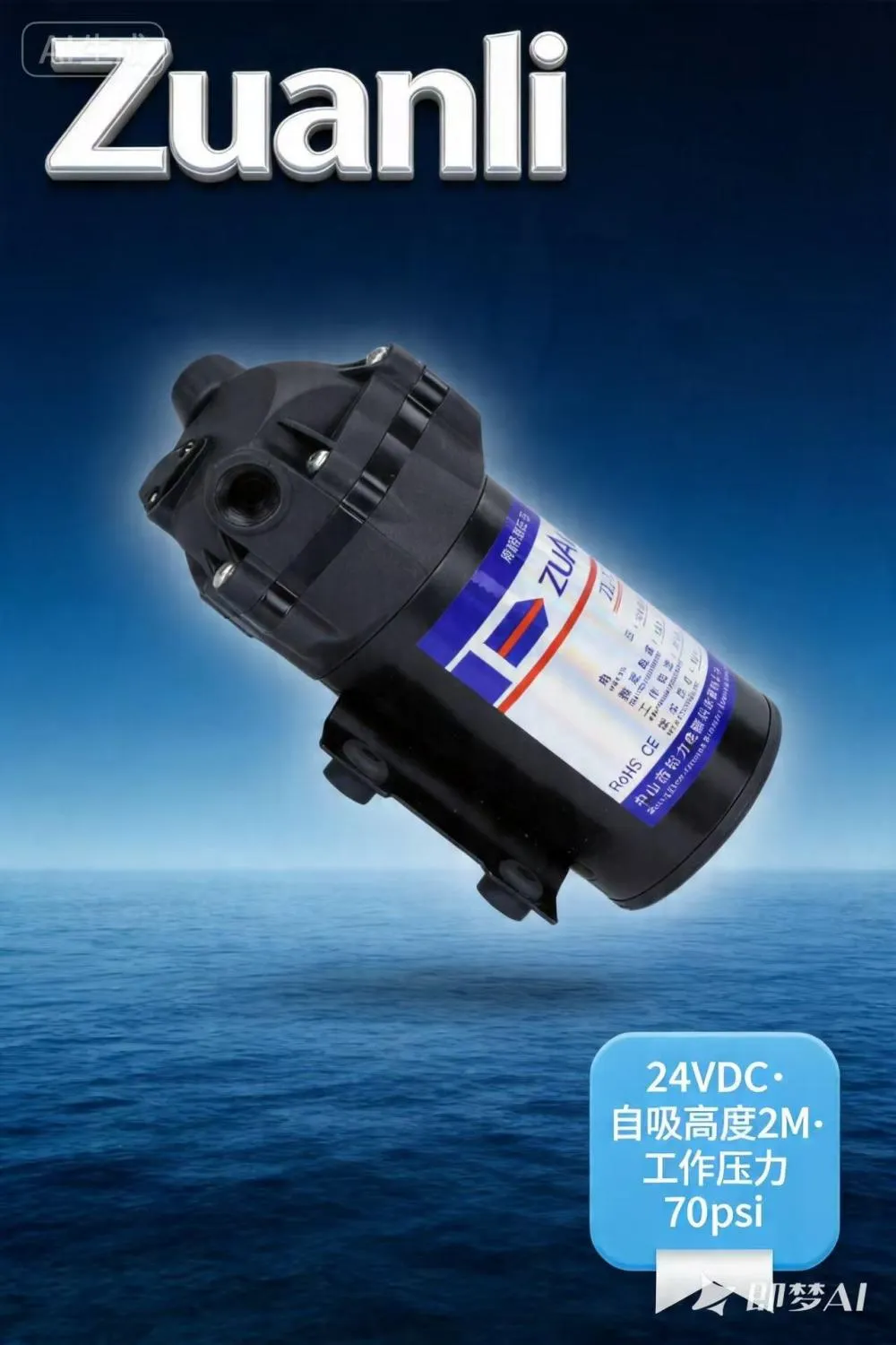 Today Container Loading Zuanli Water Purifier Booster Pump Export Shipment! Today Container Loading Zuanli Water Purifier Booster Pump Export Shipment!